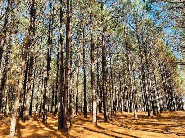 County Road 4334, Bivins, TX 75555
