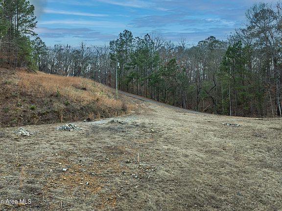 3rd image of 145 Pine Tree Cir
