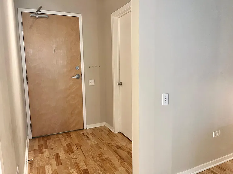 659 W Randolph St #1217 — Photo 18