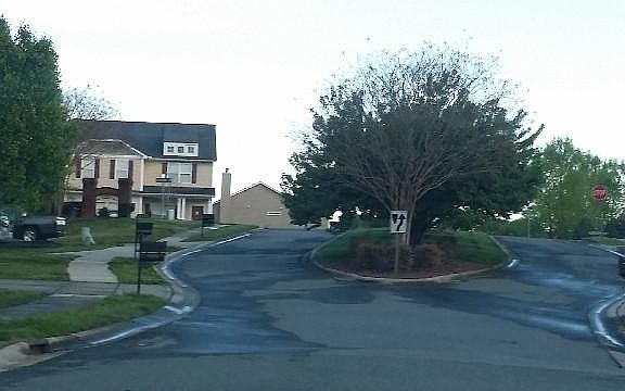4th image of 1534 Big Leaf Dr