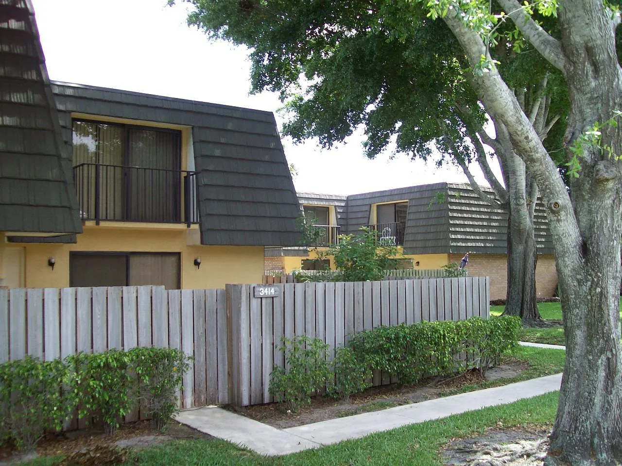 Sandalwood — Photo 1