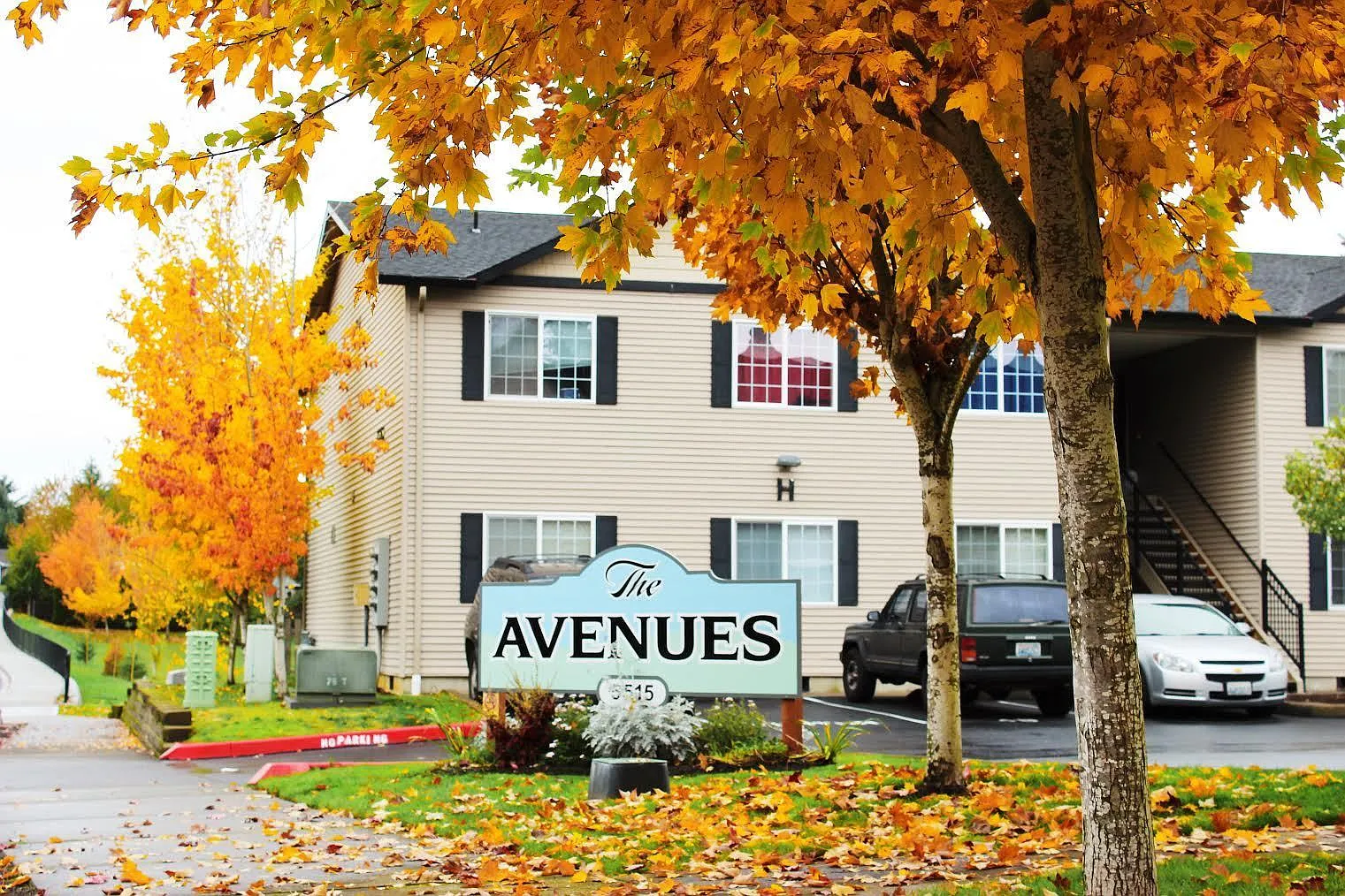 The Avenues 75/25 — Photo 2