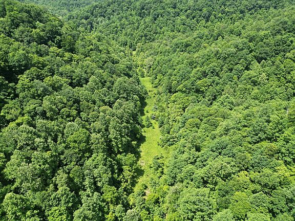 5th image of State Highway 5045 Left Fork Of Cow Crk