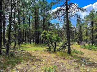 160 Far Vw, Pagosa Springs, CO 81147