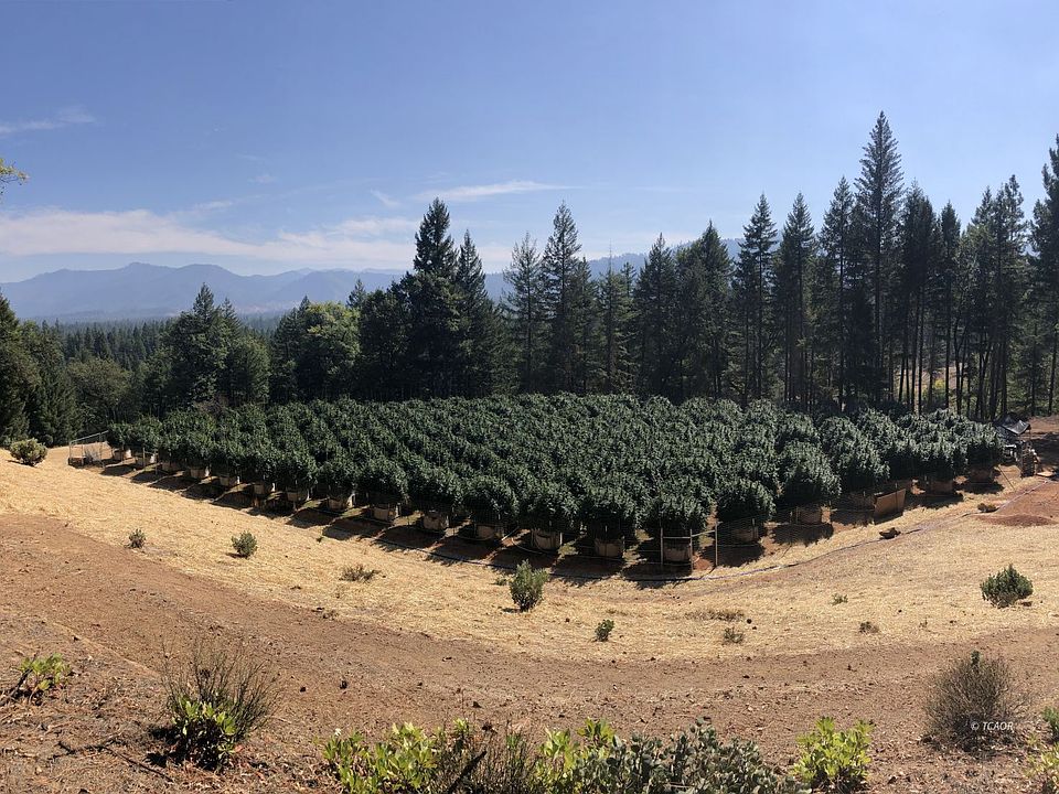 1630 McAlexander Rd, Hayfork, CA 96041 Zillow