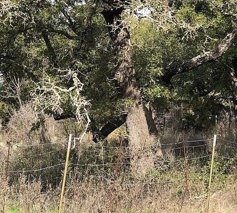 3rd image of 3524 County Road 116