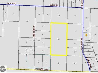 0 S Pioneer Rd, Beulah, MI 49617