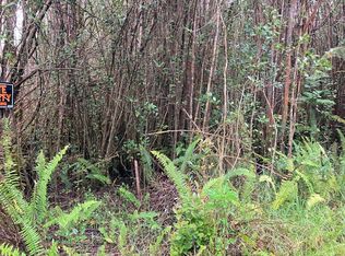 Road 5 LOT 287, Volcano, HI 96785