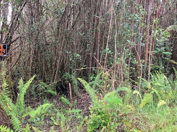 Road 5 Lot 287, Volcano, HI 96785