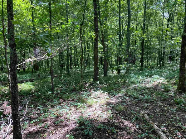 32 Bluff Dr, Edgemont, AR 72044