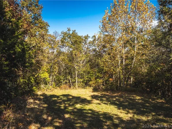 Monieson Dr, Edwards, MO 65326