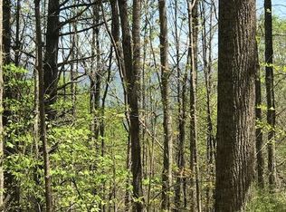 Gum Tree Rd, Elk Park, NC 28622