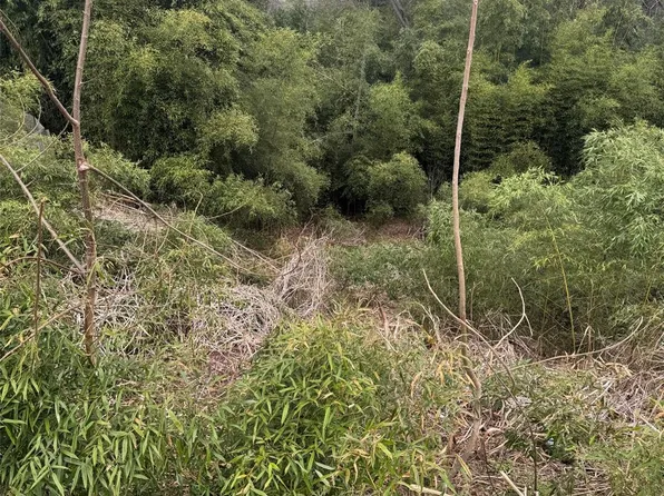 34 Belleair Rd, Asheville, NC 28806