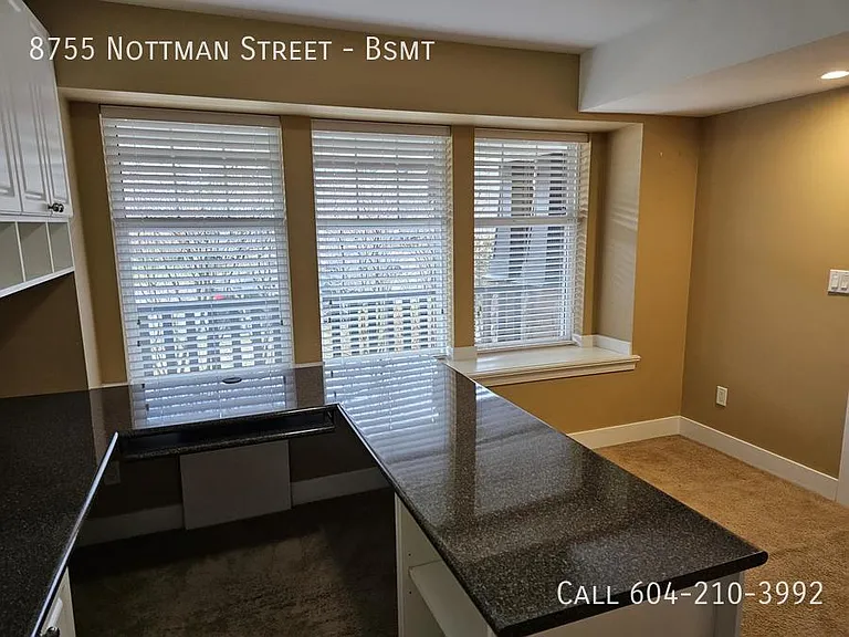 8755 Nottman St #BASEMENT — Photo 7