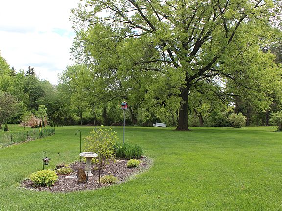 Park-like backyard