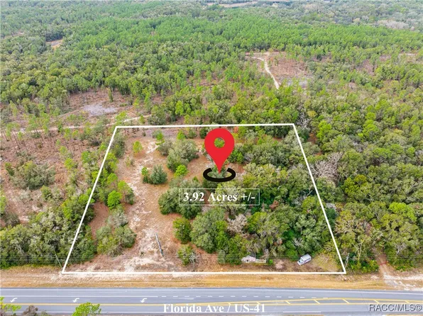 12838 S Florida Ave, Floral City, FL 34436