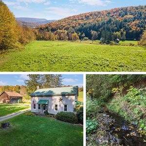 1615 Left Pines Brook Rd, Walton, NY, 13856