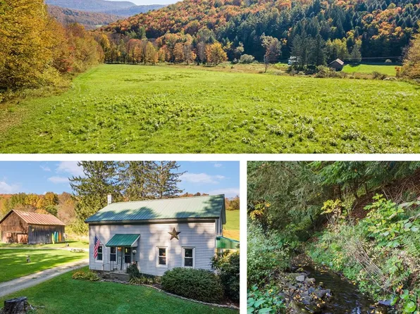 1615 Left Pines Brook Rd, Walton, NY 13856