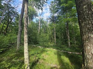E Michland Path, White Cloud, MI 49349