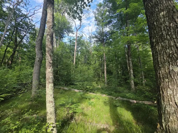 E Michland Path, White Cloud, MI 49349