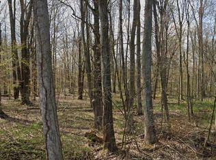 0 Ivanhoe St #1, Angola, NY 14006