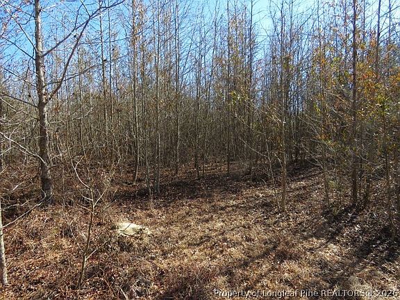 5th image of Glory Light Rd