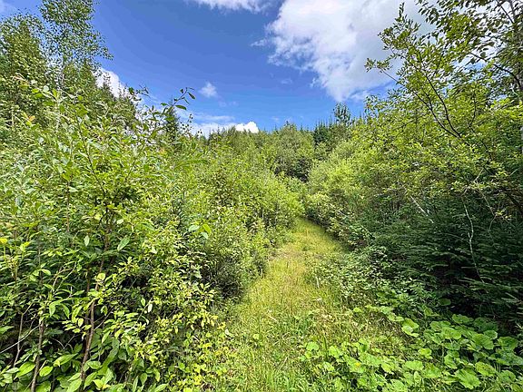 3rd image of Lot 10 Quimby Road