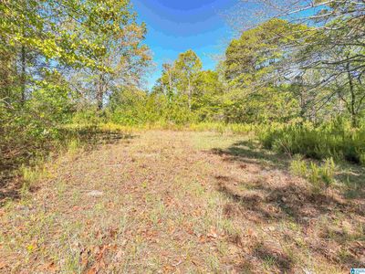 2755 County Road 53 #1, Billingsley, AL, 36006