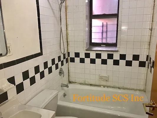 Sold by Fortitude SCS Inc | media 6