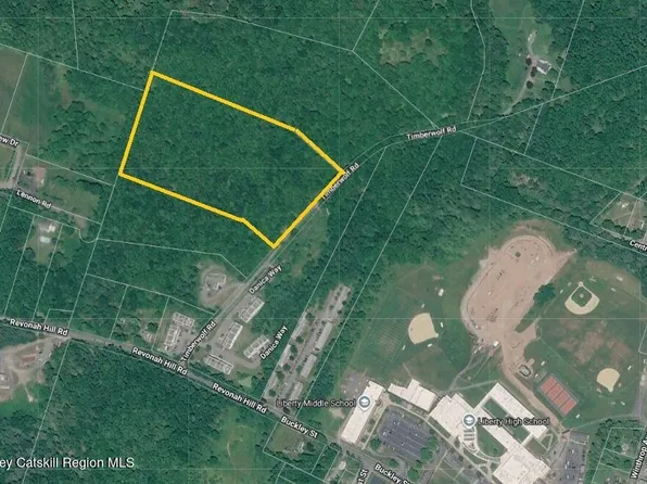 00* Timberwolf Road, Liberty, NY 12754