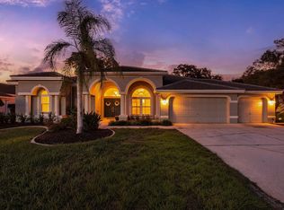 1003 Kings Way Ln, Tarpon Springs, FL 34688