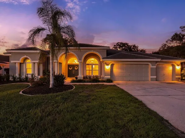 1003 KINGS WAY LANE, TARPON SPRINGS, FL 34688