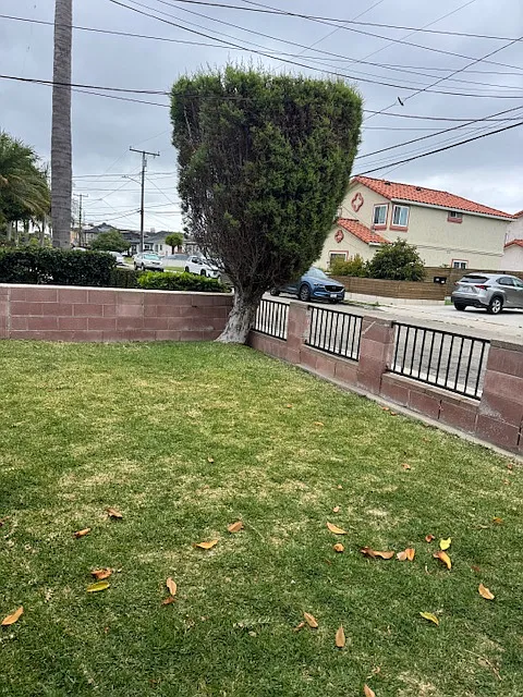 2 bed, 925 sqft, $3,600 — Photo 2