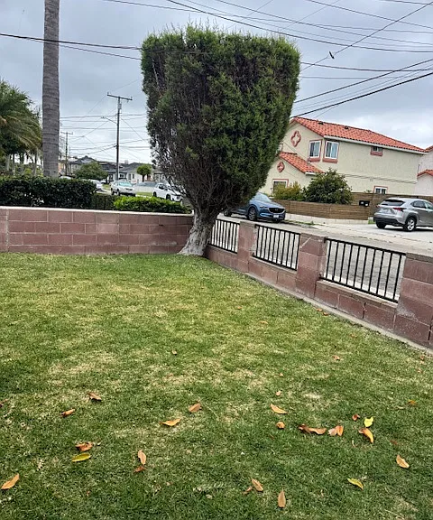 2111 Plant Ave — Photo 2