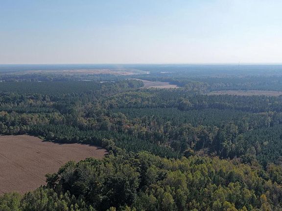 3rd image of Timber Branch Rd