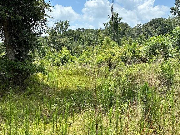 5th image of 0 Spearsville Rd