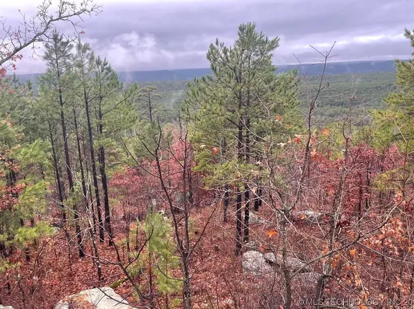 444 Bumpy Ass Trl #G, Moyers, OK 74557