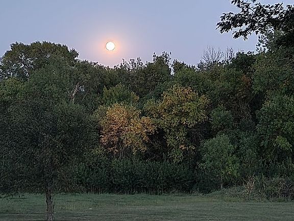 4th image of 4800 Branched Oak Rd