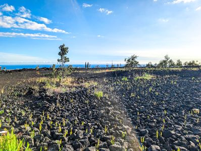 Ginger Blossom Ln Lot 18, Captain Cook, HI, 96704