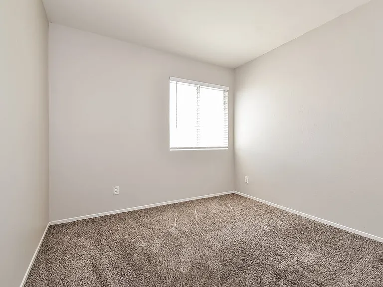 3940 Camryn Holly St — Photo 13