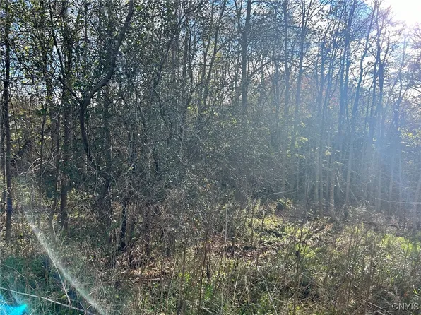 0 Route 58 #5, Hammond, NY 13646