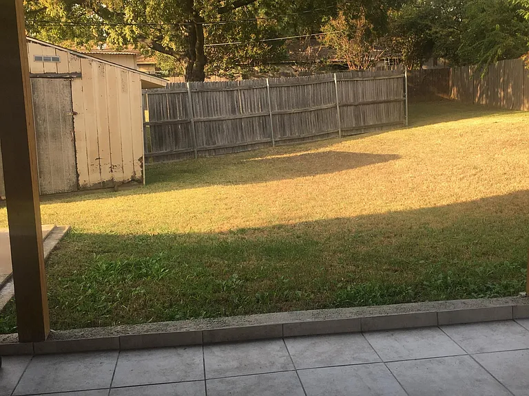 Backyard