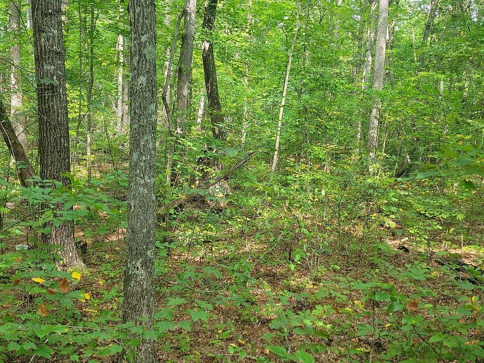 2nd image of 0 Colony Rd Lot 92-93-94