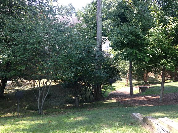 Back Yard View