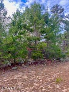 0 Ventura Dr, Chipley, FL, 32428