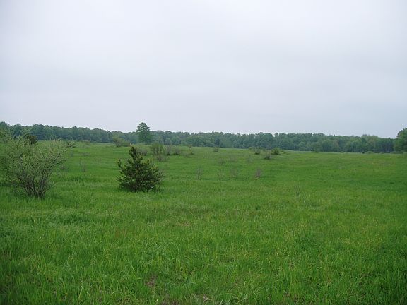 2nd image of 21 Co Road 633
