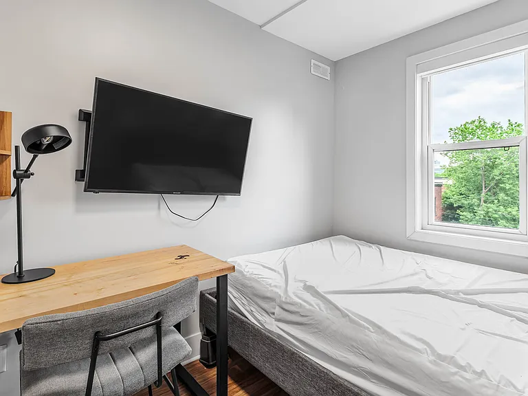 388 Chapel St #3 — Photo 11