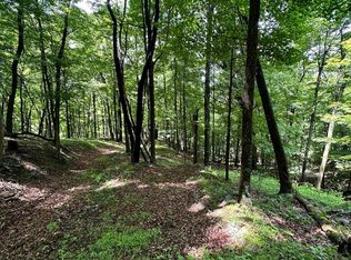 114 Patterson Creek Rd, Lahmansville, WV 26731