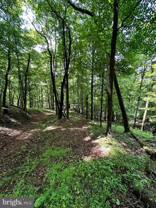 114 Patterson Creek Rd, Lahmansville, WV, 26731