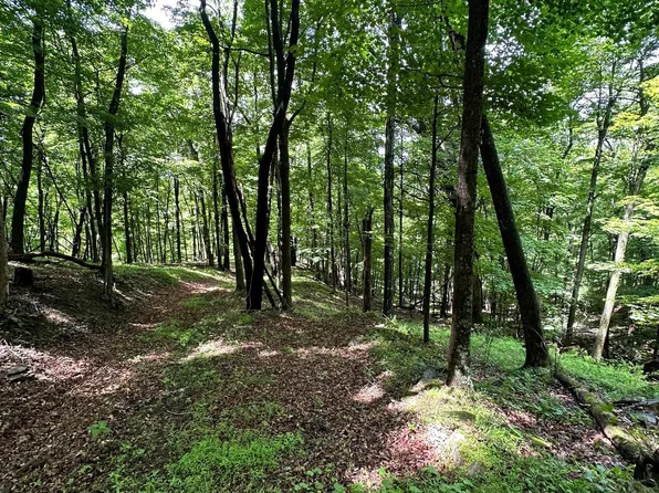 114 Patterson Creek Rd, Lahmansville, WV 26731